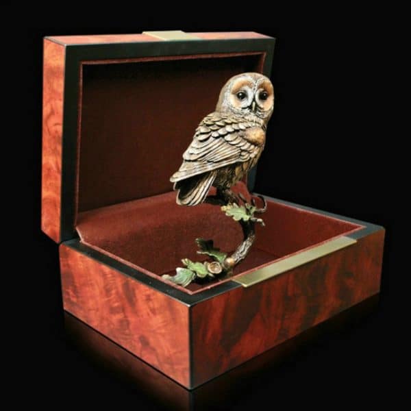 Bronze Tawny Owl with Acorns box