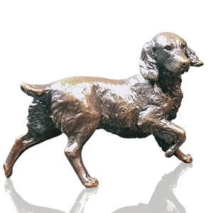 Bronze Springer Spaniel Dog - Waiting.