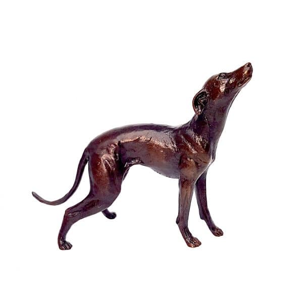 Bronze Whippet Dog Standing Sculpture - Limited Edition 150 2