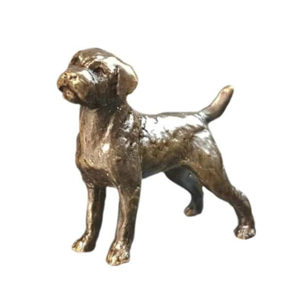 Bronze Border Terrier Dog – Butler & Peach Miniature.