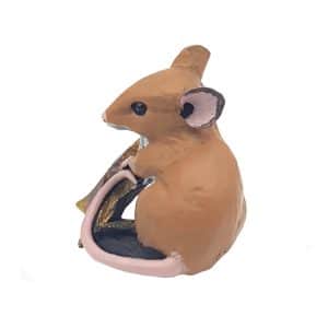 Mouse With Star. Back