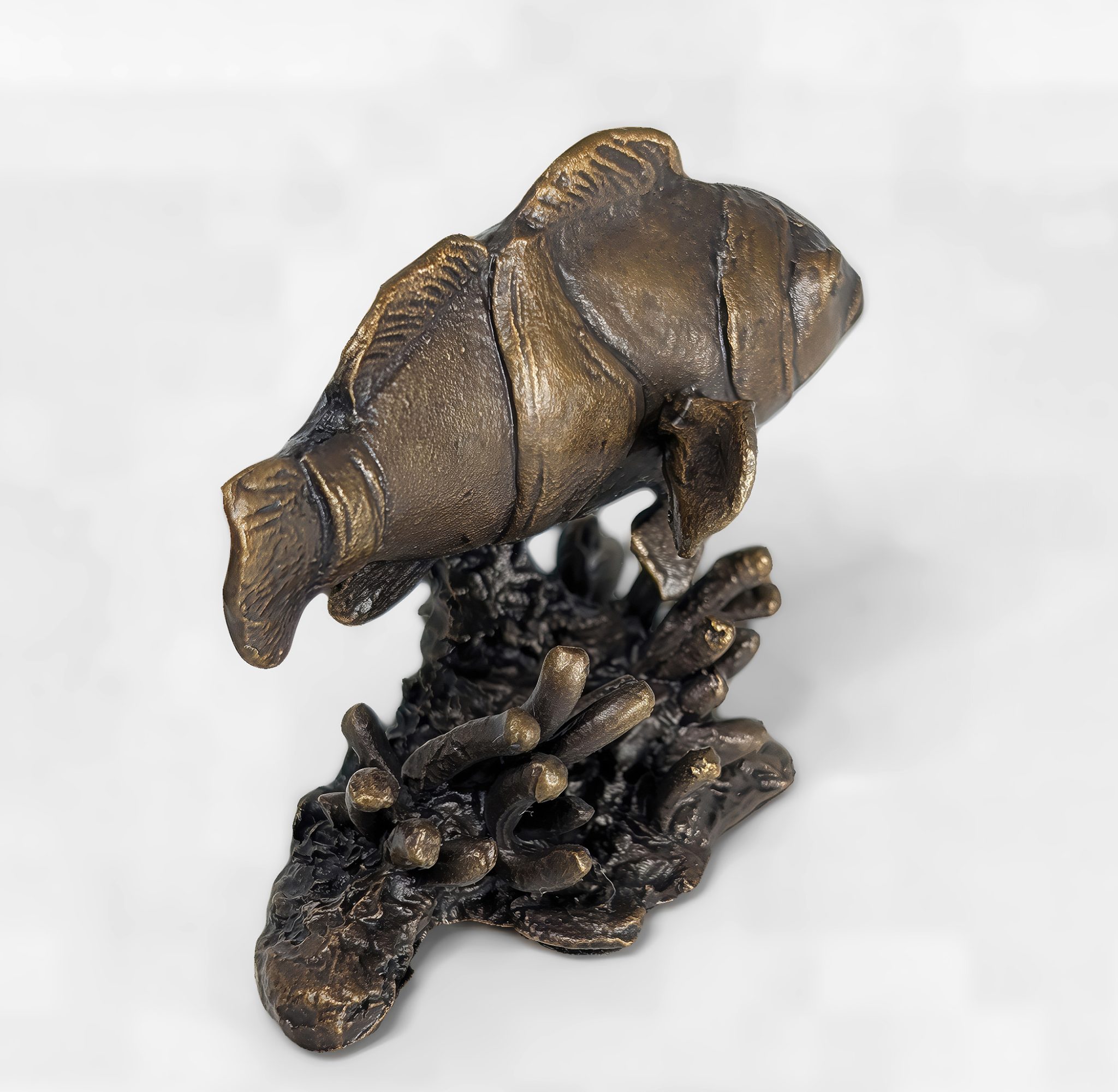 Clownfish Solid Bronze Sculpture - Image 4