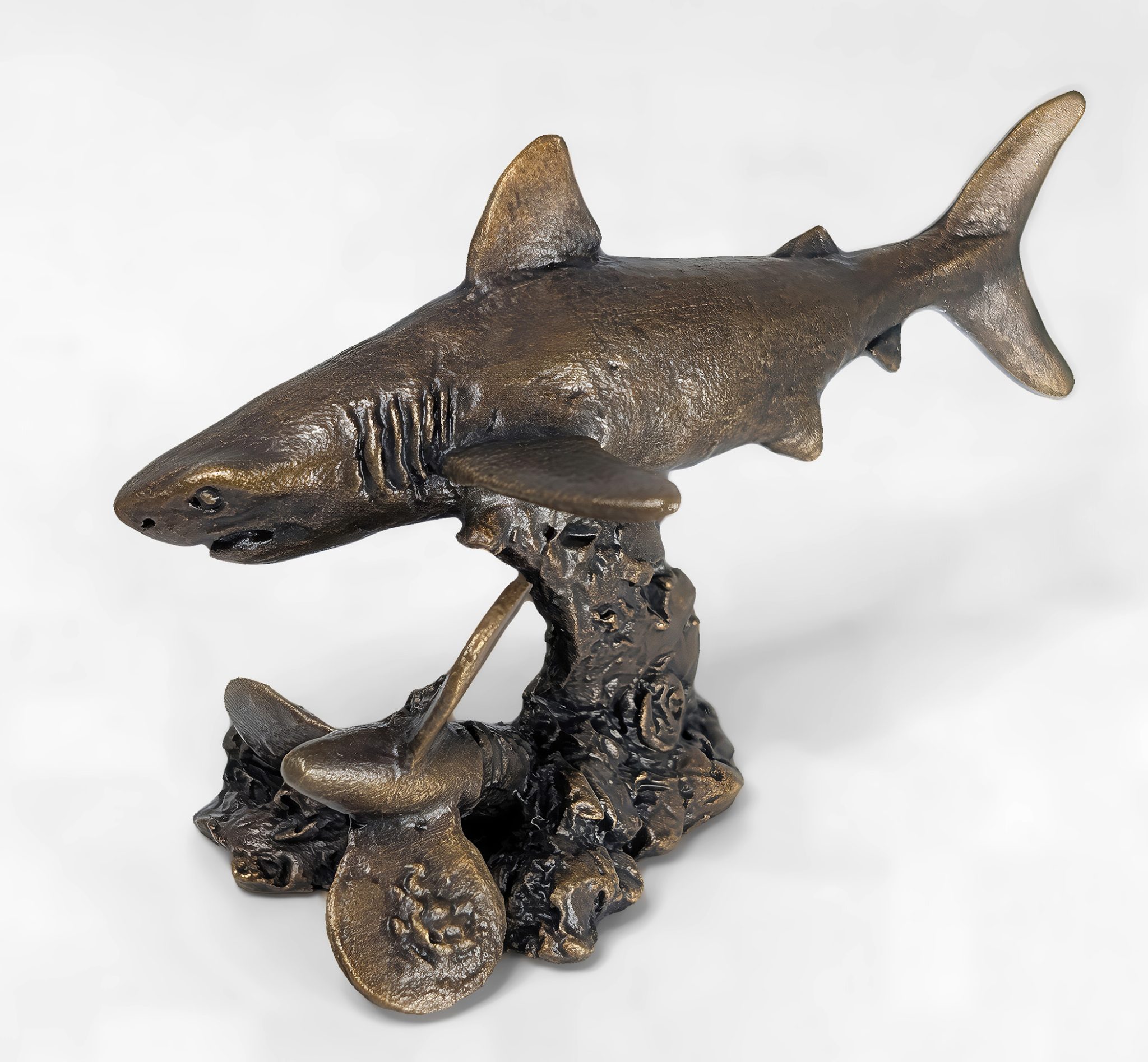 Solid bronze Great White Shark sculpture mounted on a decorative seabed base with multi-tonal patina finish by Marquise Jewellery