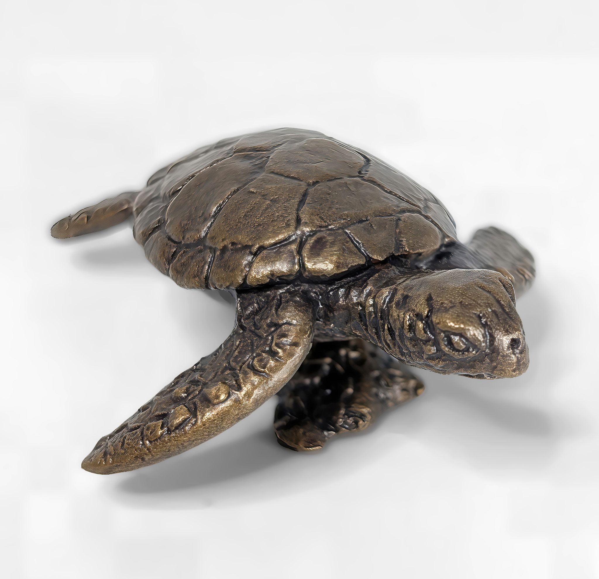 Hawksbill Turtle Solid Bronze Sculpture - Image 4