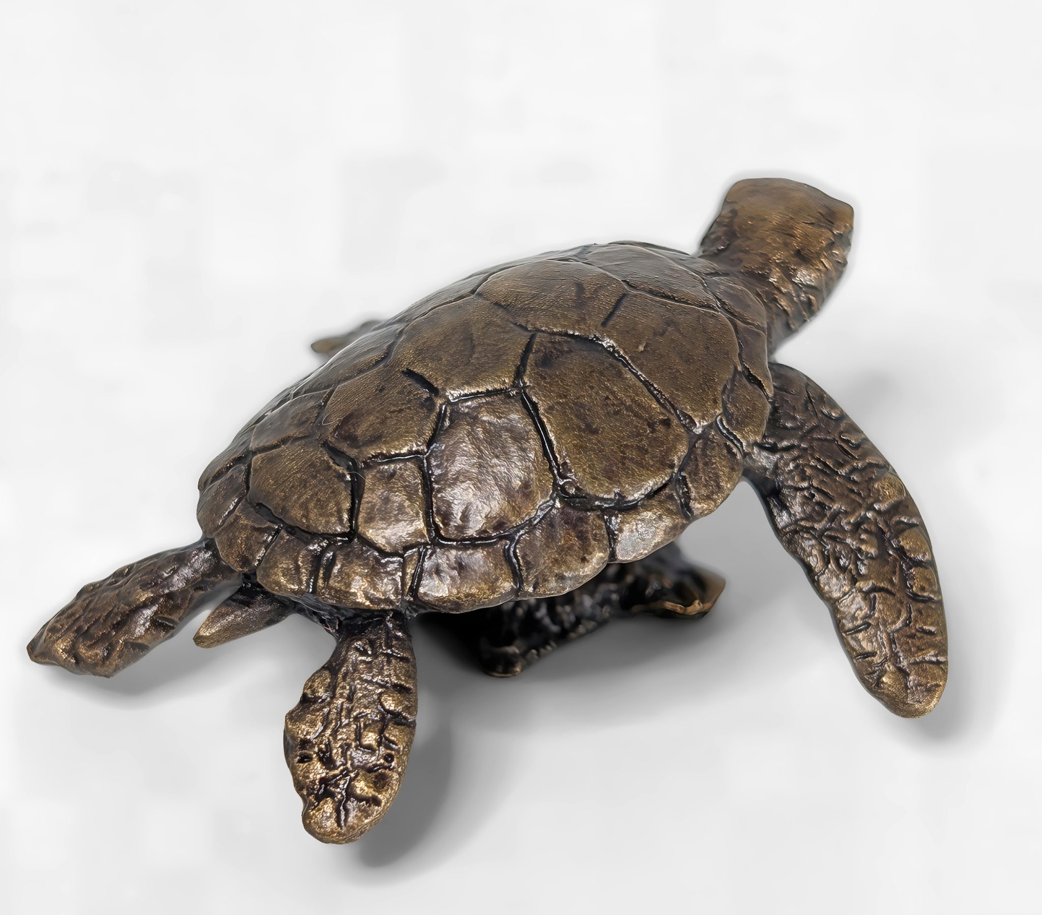 Hawksbill Turtle Solid Bronze Sculpture - Image 2