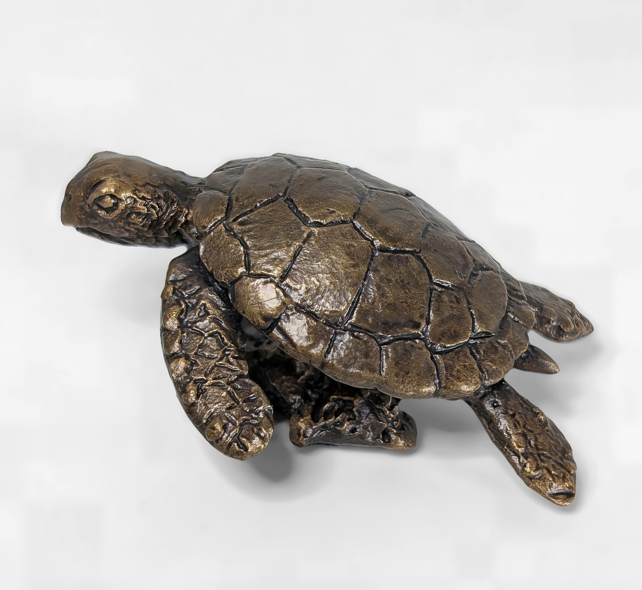 Hawksbill Turtle Solid Bronze Sculpture - Image 3