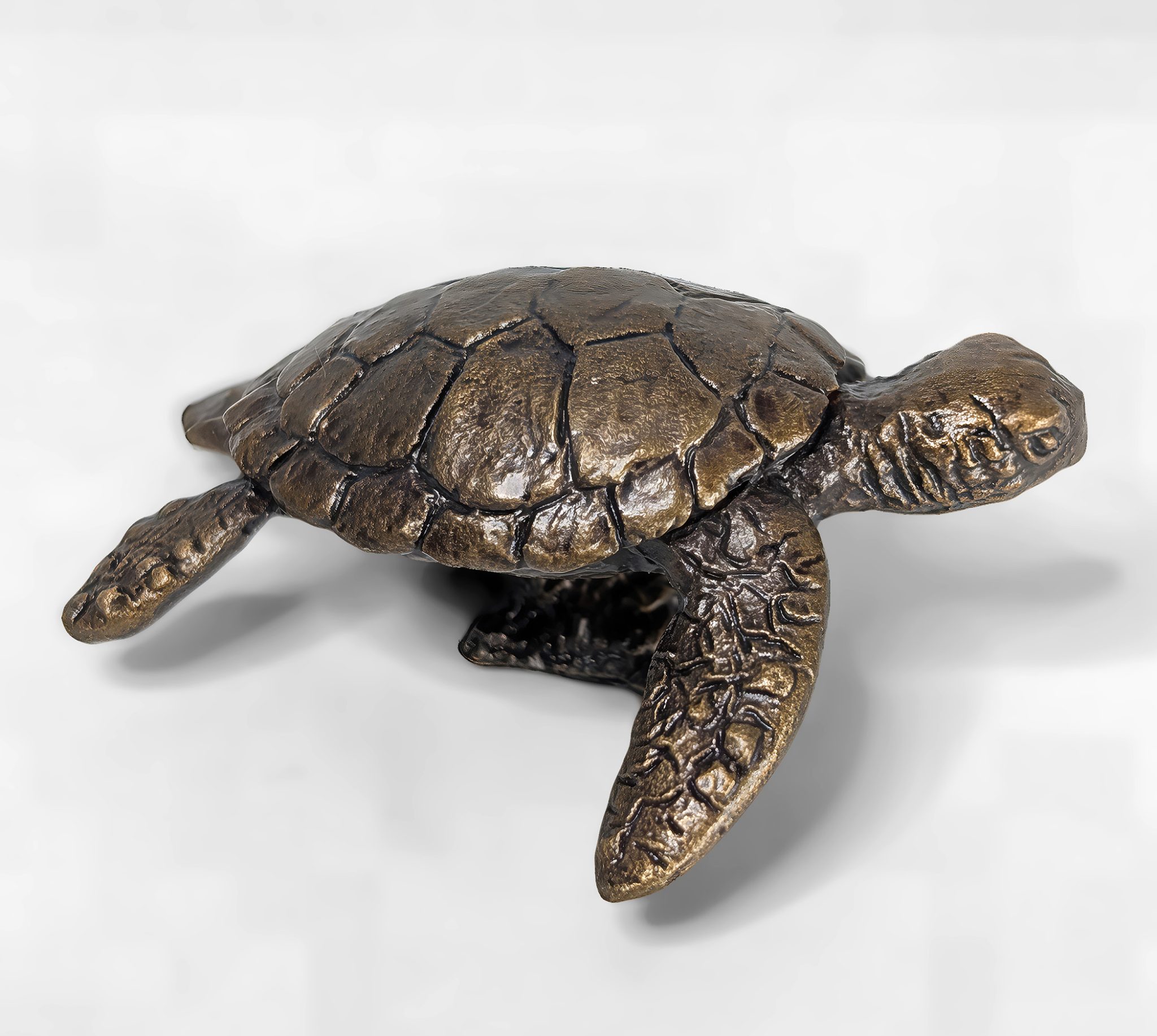 Solid bronze Hawksbill sea turtle sculpture crawling forward with outstretched flippers and a domed shell patina finish by Marquise Jewellery